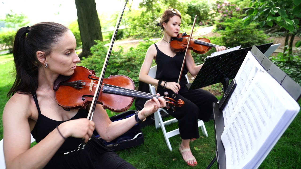 Promotional video thumbnail 2 for New Age Strings