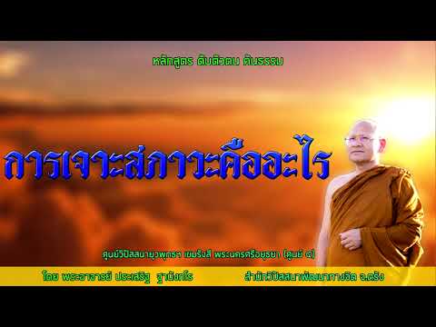 การเจาะสภาวะคืออะไร  โดยพระอาจารย์ประเสริฐ ฐานังกโร 9/2563