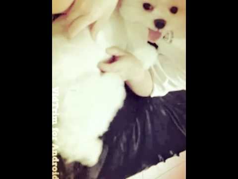 Noely  (Created with @Magisto)