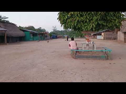 Danny García Vallenatazo de Amor comunidad Cucurito Ceiba Cumaribo Vichada Colombia 🎤🪗🎶🇨🇴