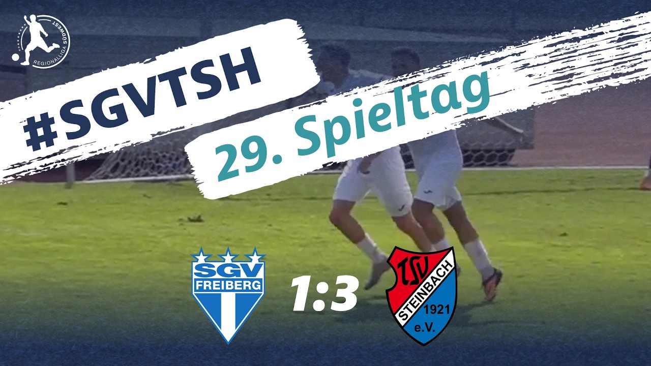 SGV Freiberg vs TSV Steinbach Haiger Highlights