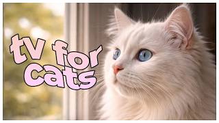 6 Hour Cat TV 🐱 | Birds, Wildlife & Relaxing Music for Indoor Cats | Keep Cats Entertained