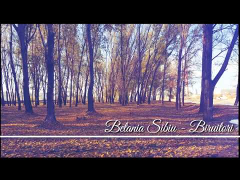 Betania Sibiu - Biruitori