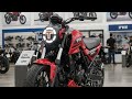 Finally Tvs Ronin 125cc New Model 2025 Tvs Ronin 125 New Bike Launch In India 2025 New Bike 2025