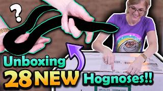 Unboxing 28 Hognoses Sent by a Fan!