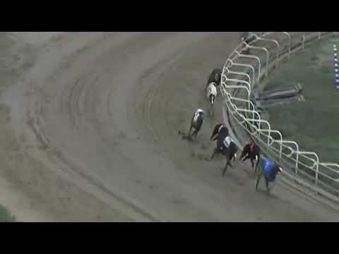 Wheeling Downs Racing