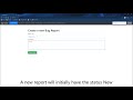 Bug Tracker API Demo