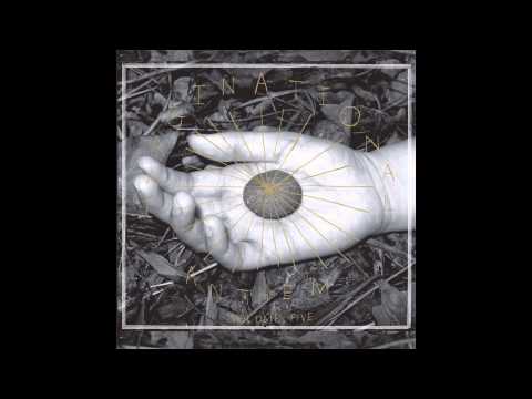 Yair Yona - Rivers Gone Badly Wrong