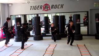 preview picture of video 'Tiger Rock Martial Arts - Tuscaloosa/Northport, AL - Teens and Pre-Teen Youth class'