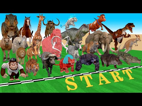 Incredible Animals Race vs Dinosaurs vs Prehistoric Mammals Speed Race Run: Who Will Win? ARBS #1