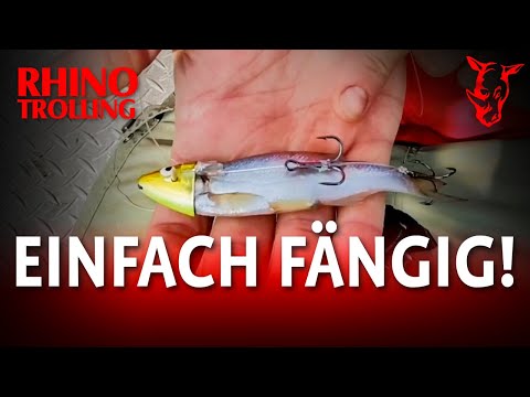 SCHLEPPEN mit KÖDERFISCH? Jens Harke zeigt Euch seine BESTE MONTAGE für DORSCH, LACHS & MEERFORELLE