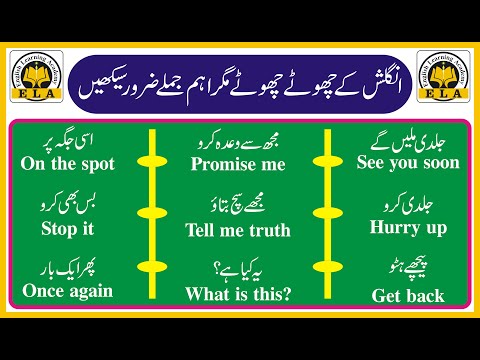 80 English Short Sentences for Beginners with Urdu Translation | Learn English Sentences