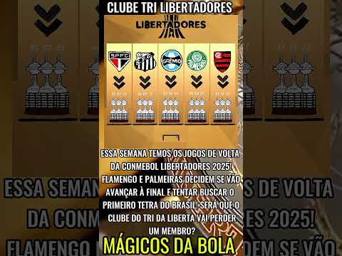 Tetra Liberta #brasil #futebol #flamengo #palmeiras #saopaulo #grêmio #santos #inter #bahia #vasco
