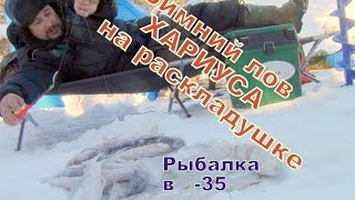 Ловля хариуса на лесных реках сибири
