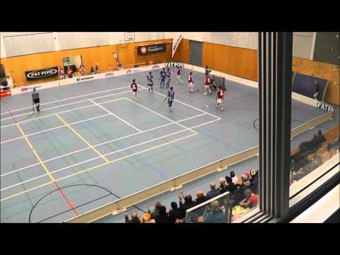 Salibandy: LeBa'96 - Salpa | 04.11.2011 | Maalikooste