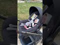 Uppababy Stroller Is Perfect For Reborn Baby Toddler Dolls