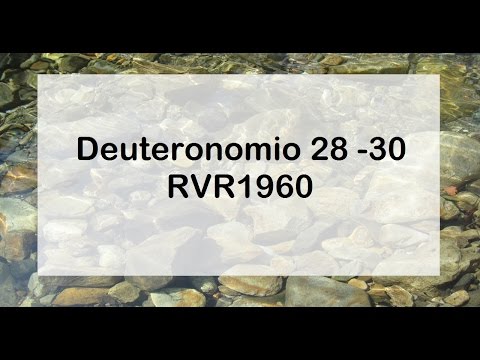 La Biblia en un año/Deuteronomio 28-30 (Audio, Letra) Día 101