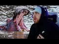 LosPollosTV Reacts To 10 Horrible Ways Animals Can END You