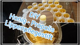 DIY Honig-Propolis Lippenpflegestifte selbst herstellen aus der eigenen Imkerei