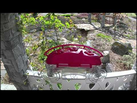 Hummingbird Feeder Test #1