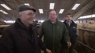 Thumbnail del capítulo