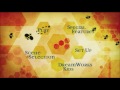 Bee Movie 2007 DVD Menu