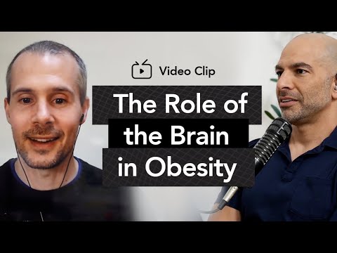 The role of the brain in obesity | Peter Attia, M.D. & Stephan Guyenet, Ph.D.