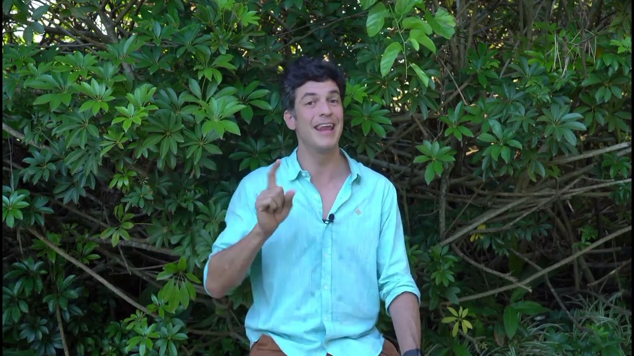 Cidadania: um gesto muda tudo | Mateus Solano | TEDxMorroDaUrca