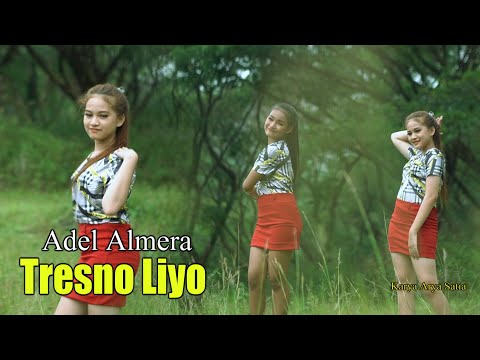 Almera Feat Adel - Tresno Liyo