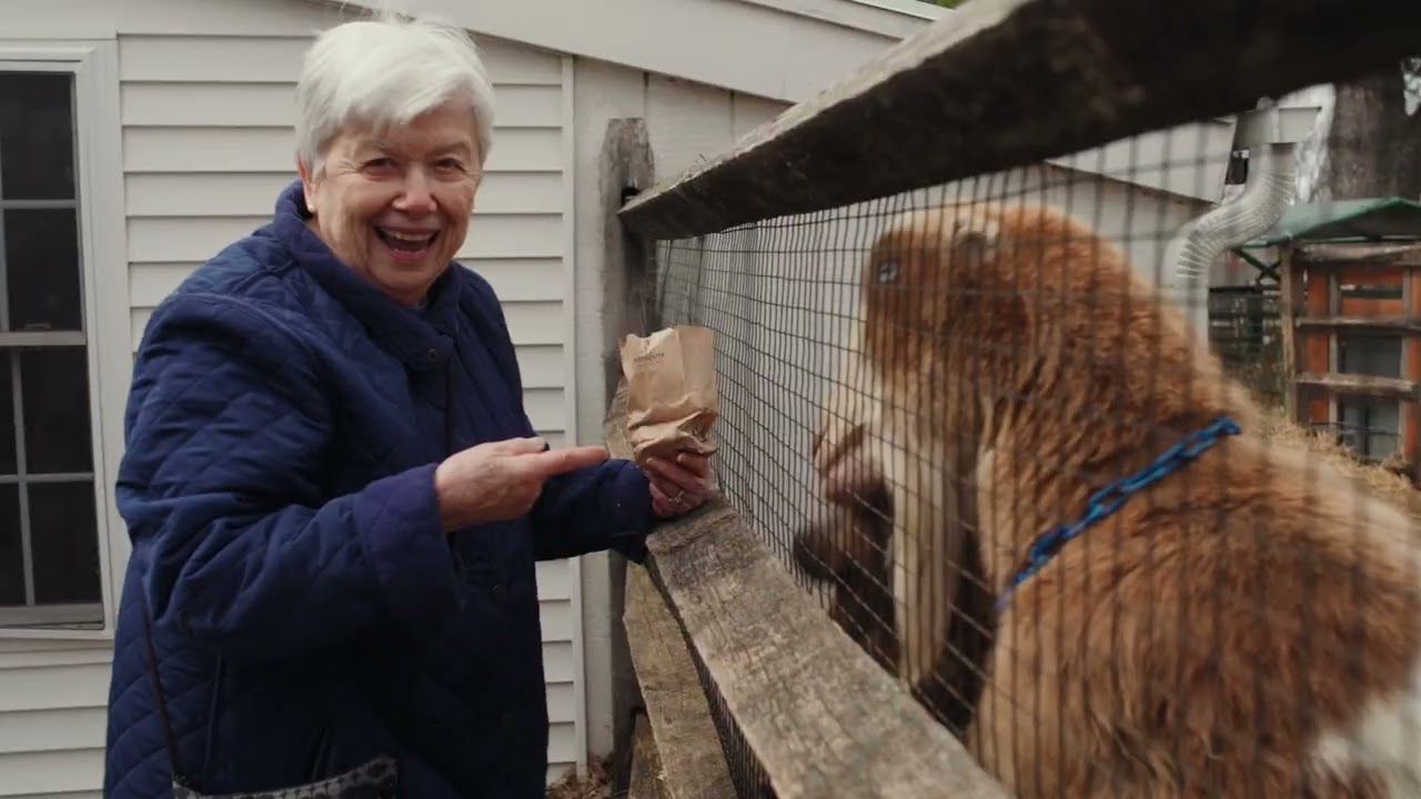 Bradley Mountain Farm video thumbnail