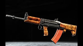 Division 2 — TKB-408 Assault Rifle