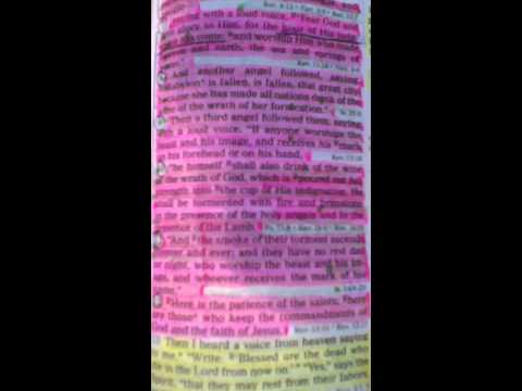 The Reading of Revelation 14:6-12