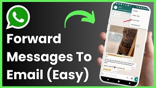 How to Forward WhatsApp Message to Email ! [EASY STEPS]