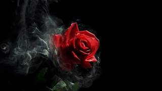 Randall Bramblett – Strong Love