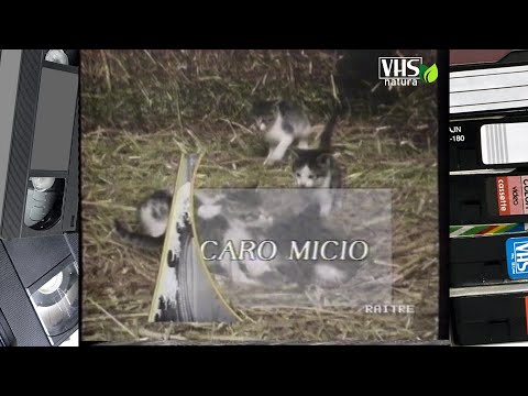 GEO, viaggio nel pianeta Terra - CARO MICIO
