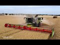 4k Claas Lexion 8900 TT in Suffolk - Another segment of a previous video now available in 4k Video