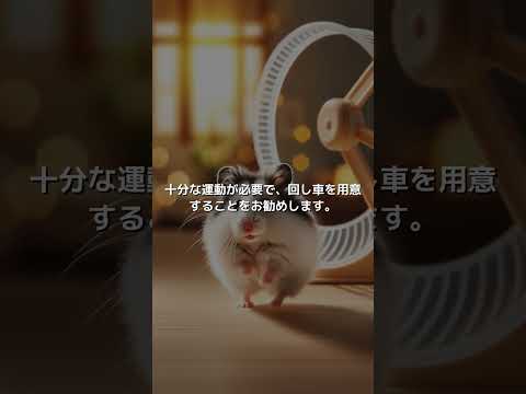 ブラックアイドホワイト(チャイニーズ)