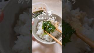 ごはん止まらん...50円おかず #簡単レシピ #時短レシピ #大葉
