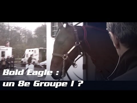 Bold Eagle va-t-il remporter le Critérium des 5 Ans ? - TEASER