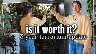 Ikea cabinet terrarium 3 YEAR UPDATE - is it worth it???