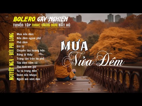 Bolero Gây Nghiện l Quán Cafe Thư Giãn ❖ MƯA NỬA ĐÊM ❖ Nguyệt Nga, Bùi Phi Long