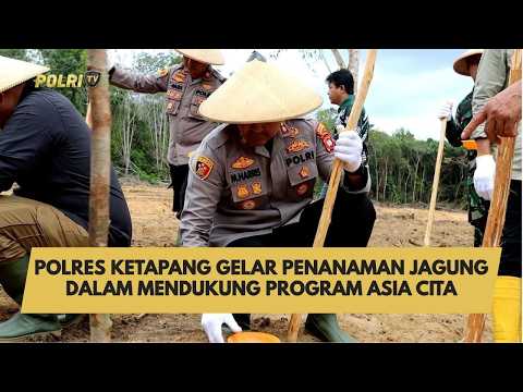 POLRES KETAPANG GELAR PENANAMAN JAGUNG DALAM MENDUKUNG PROOGRAM ASIA CITA