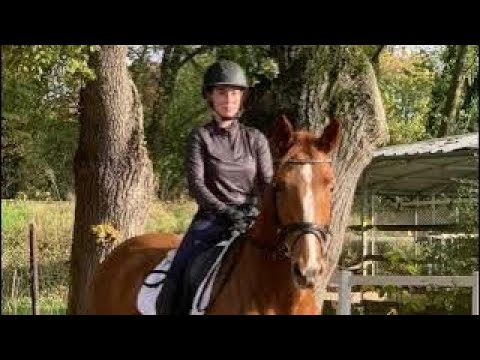 EMILY 8j. v. Edward - Weltano VB 15.000,- Euro