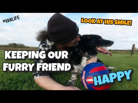 Keeping our furry best friend happy #vanlife