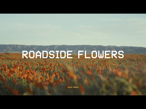 DROELOE - Roadside Flowers (ft. Iris Penning) [Official Music Video]
