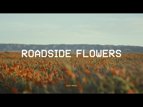 Video thumbnail for Roadside Flowers