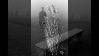 Barb Jungr - Man in the Long Black Coat