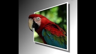 How To Make The 3D Photo Effect In Photoshop Out of Bounds Effect