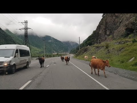 ВЪЕЗД В ГРУЗИЮ / ГРАНИЦА С РОССИЕЙ