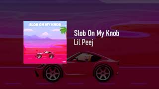 Slob On My Knob Music Video